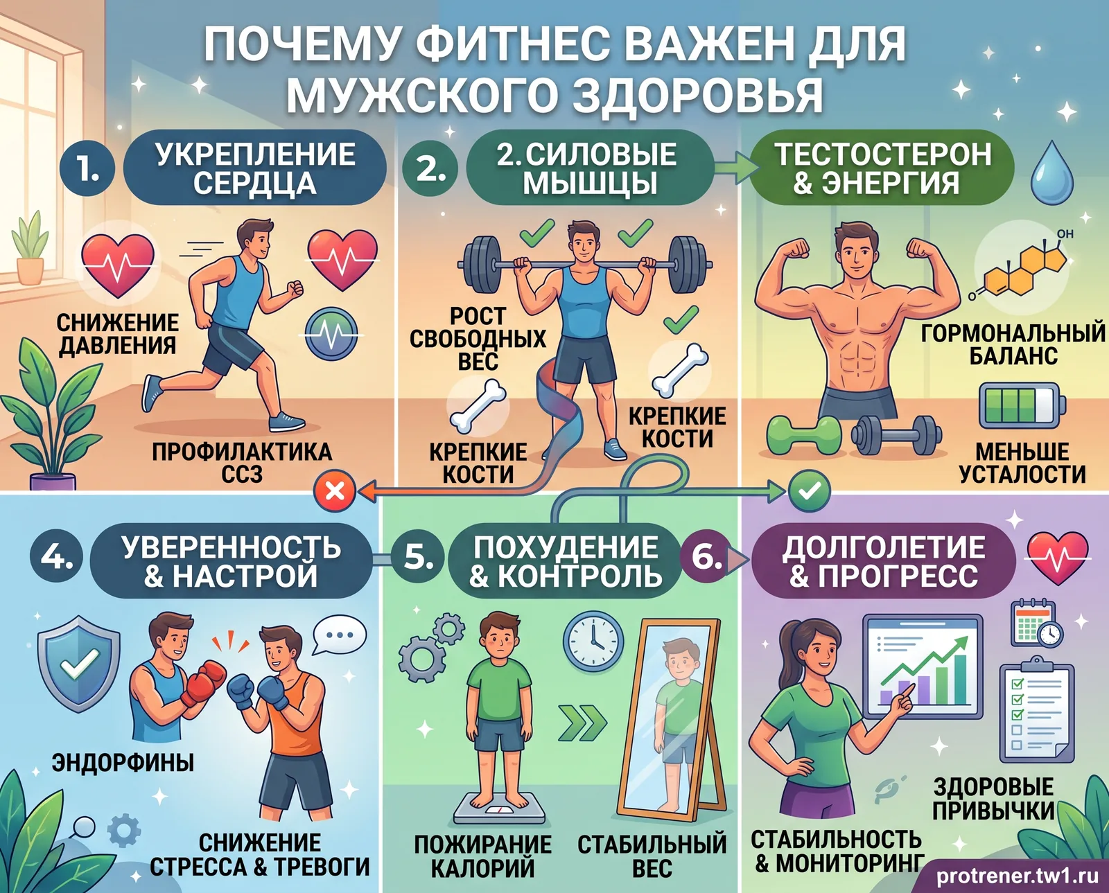 Фитнес для мужчин: тренировки и питание — фотография из NIKIFOROV, Вышний Волочёк — снимок 2 из 4